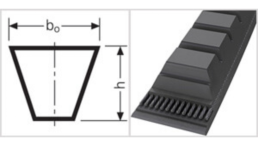 Клиновой ремень ZX 21,5 ZX 569 ContiTech